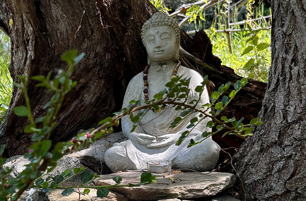 Budha